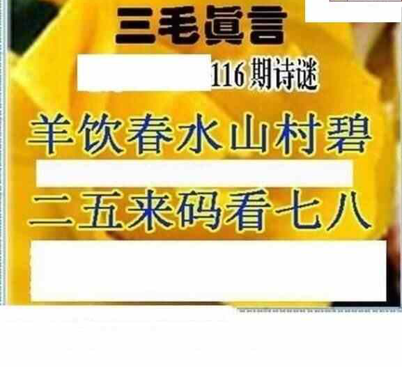 24116期: 三毛3D精品图谜