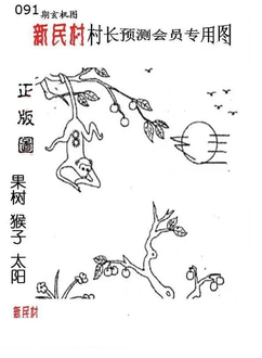 26091期: 老村长福彩3D天天图谜