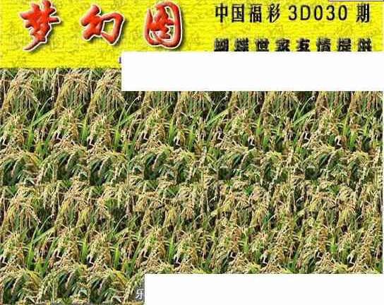 25030期: 3D蝴蝶世家蝴蝶彩图