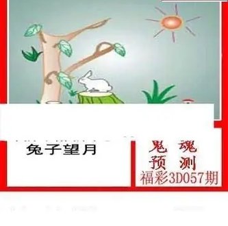 26057期: 白老3D杀码图版