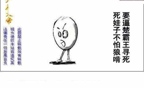 24076期: 白老3D杀码图版