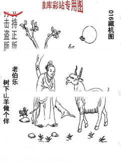 26016期: 老村长福彩3D天天图谜