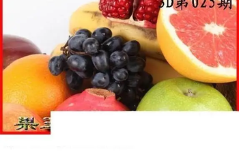 26025期: 白老3D杀码图版