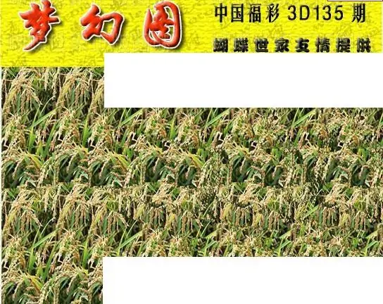 25135期: 3D蝴蝶世家蝴蝶彩图