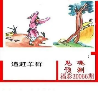 26066期: 白老3D杀码图版