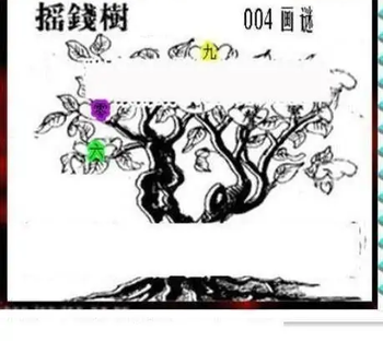 26004期: 三毛3D精品图谜