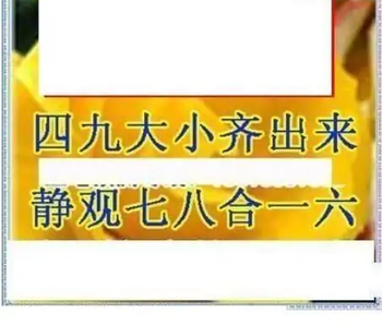 25343期: 三毛3D精品图谜