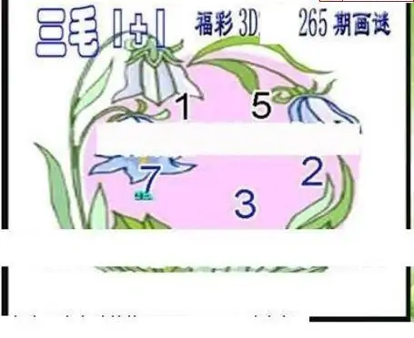 25265期: 三毛3D精品图谜
