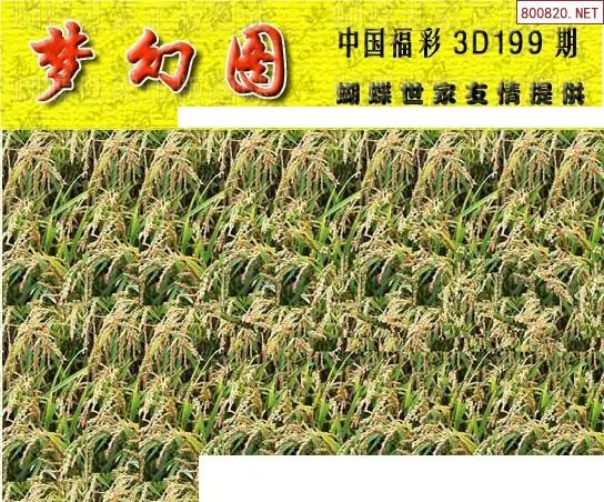 25199期: 3D蝴蝶世家蝴蝶彩图