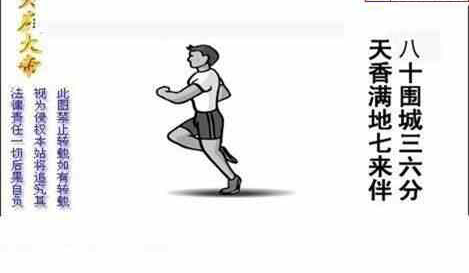 24100期: 白老3D杀码图版