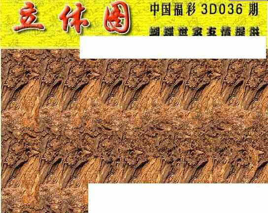 25036期: 3D蝴蝶世家蝴蝶彩图