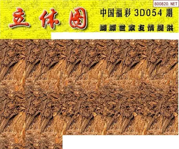 26054期: 3D蝴蝶世家蝴蝶彩图