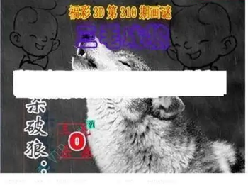 25310期: 三毛3D精品图谜