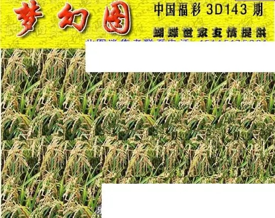 25143期: 3D蝴蝶世家蝴蝶彩图