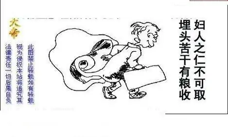 25109期: 白老3D杀码图版