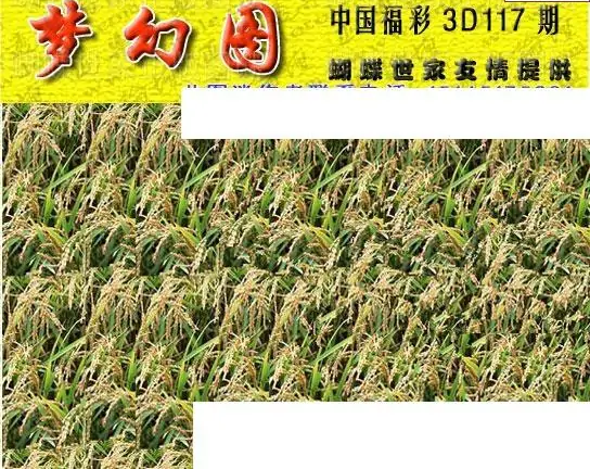 25117期: 3D蝴蝶世家蝴蝶彩图