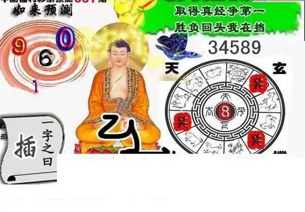 25081期: 白老3D杀码图版