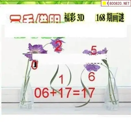 25168期: 三毛3D精品图谜