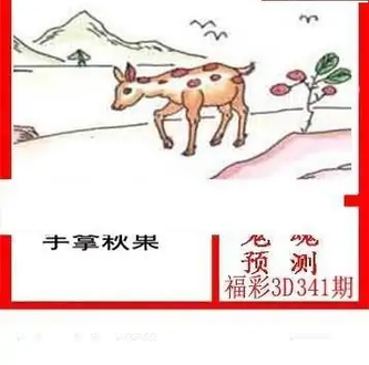 25341期: 白老3D杀码图版