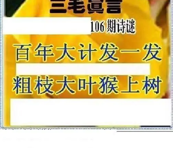 26106期: 三毛3D精品图谜