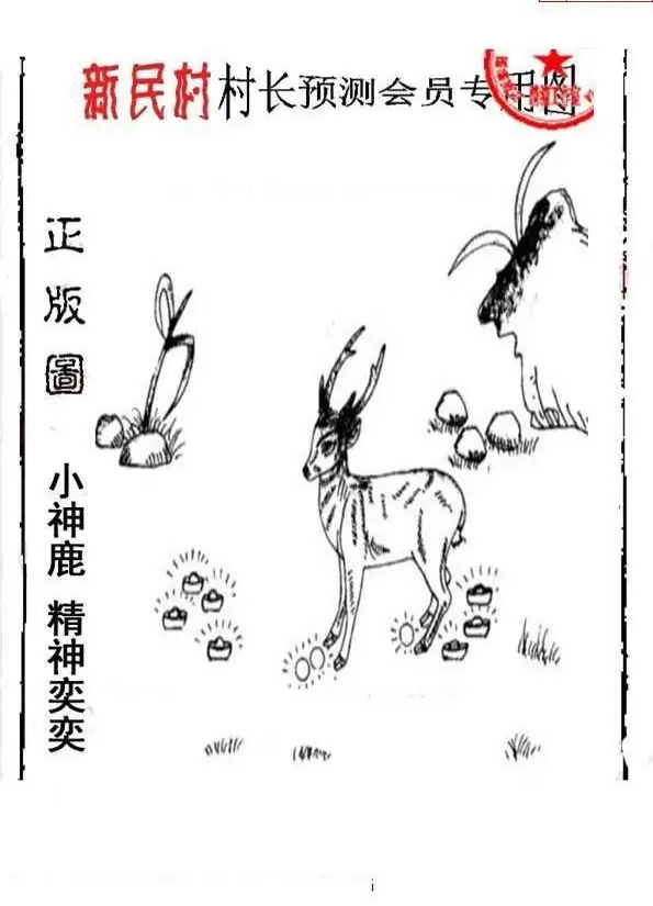 25209期: 老村长福彩3D天天图谜