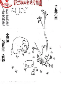 26104期: 老村长福彩3D天天图谜