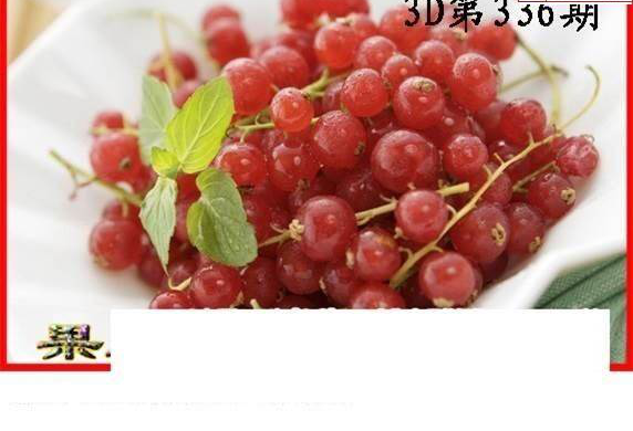 24336期: 白老3D杀码图版