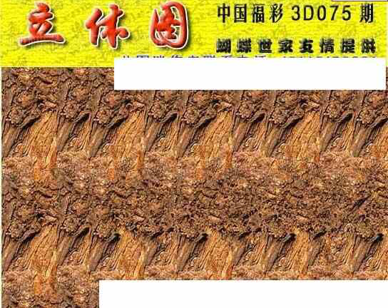 24075期: 3D蝴蝶世家蝴蝶彩图