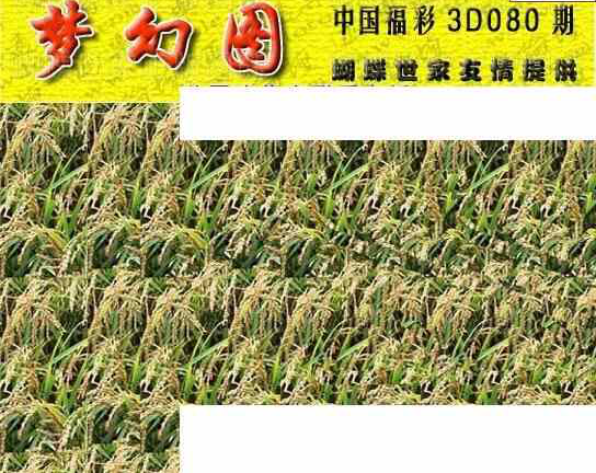 24080期: 3D蝴蝶世家蝴蝶彩图