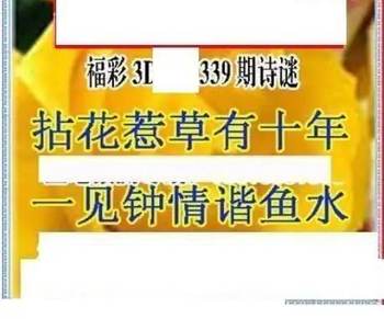 25339期: 三毛3D精品图谜