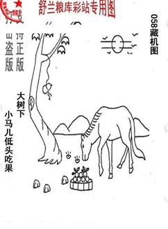 26058期: 老村长福彩3D天天图谜