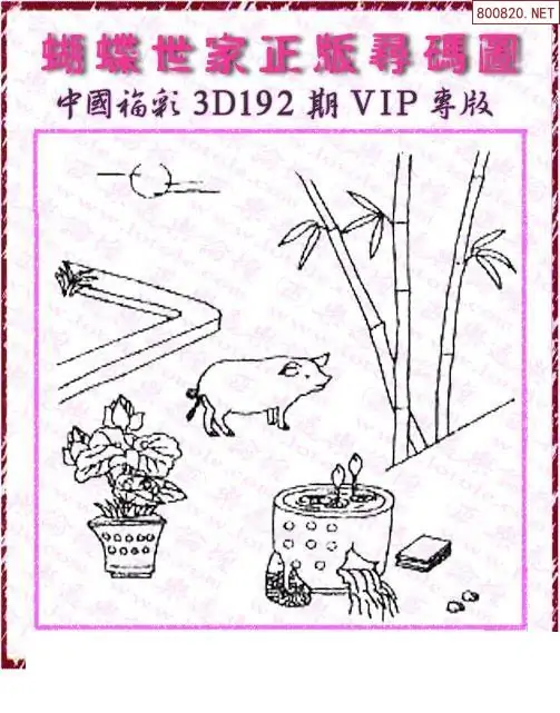 25192期: 3D蝴蝶世家蝴蝶彩图