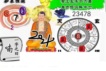 25311期: 白老3D杀码图版