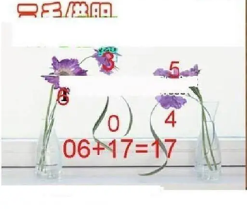 26108期: 三毛3D精品图谜