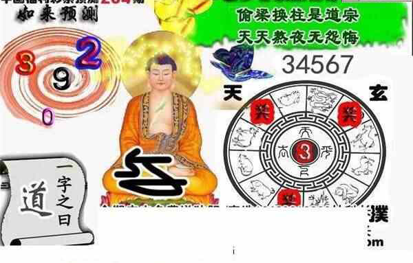 24204期: 白老3D杀码图版