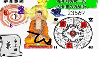 26014期: 白老3D杀码图版