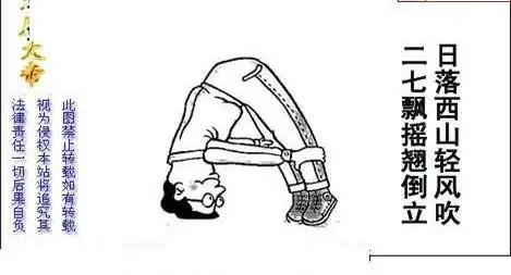 25208期: 白老3D杀码图版