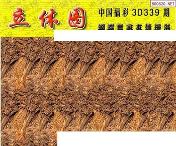 25339期: 3D蝴蝶世家蝴蝶彩图