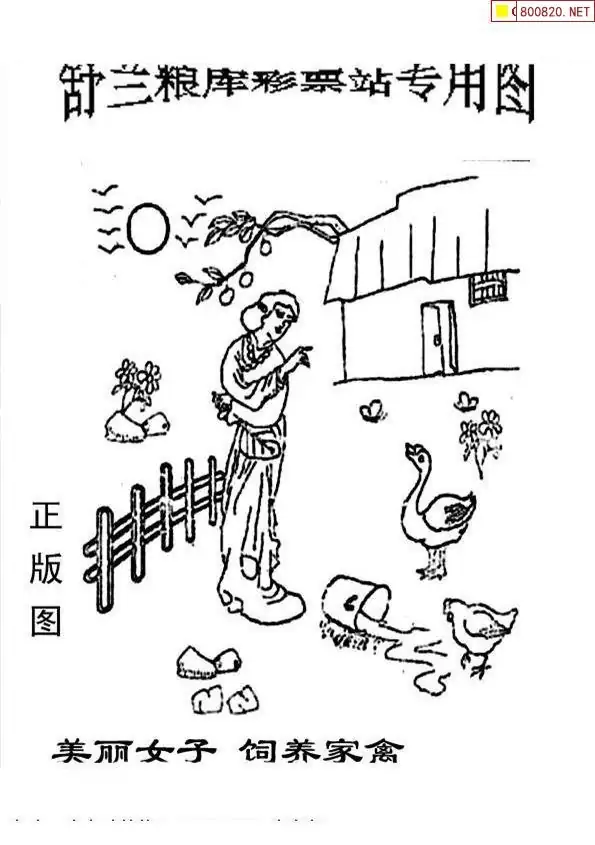 25191期: 老村长福彩3D天天图谜