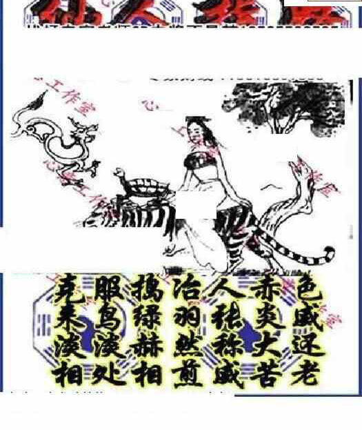 24105期: 三毛3D精品图谜