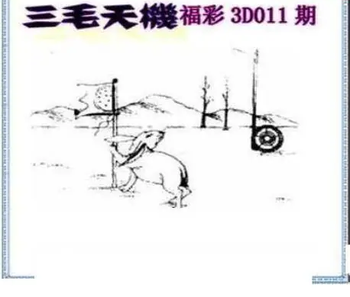26011期: 三毛3D精品图谜