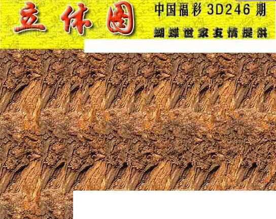 24246期: 3D蝴蝶世家蝴蝶彩图