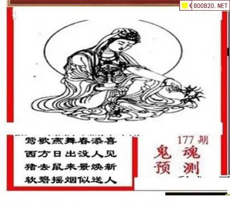 25177期: 三毛3D精品图谜