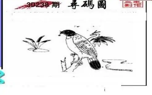 25238期: 三毛3D精品图谜