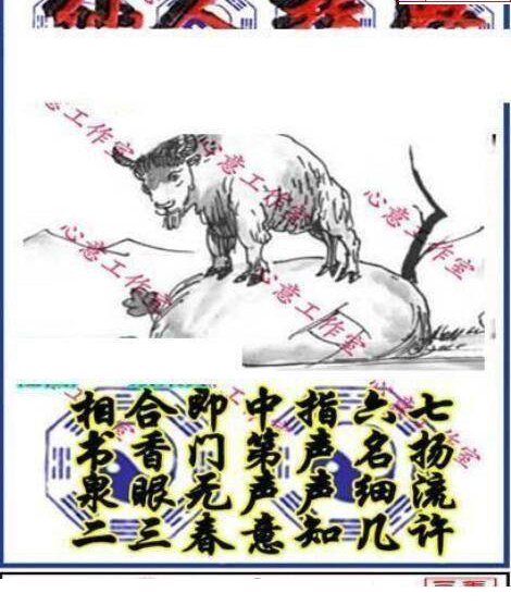 24342期: 三毛3D精品图谜