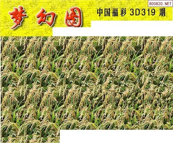 25319期: 3D蝴蝶世家蝴蝶彩图