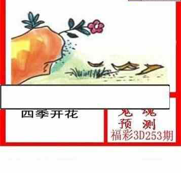 24253期: 白老3D杀码图版