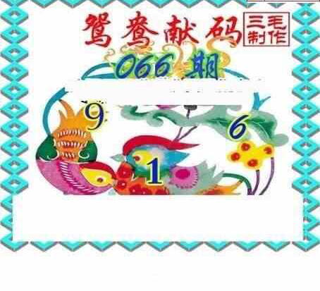 24066期: 三毛3D精品图谜