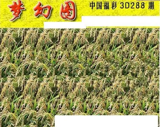 25288期: 3D蝴蝶世家蝴蝶彩图