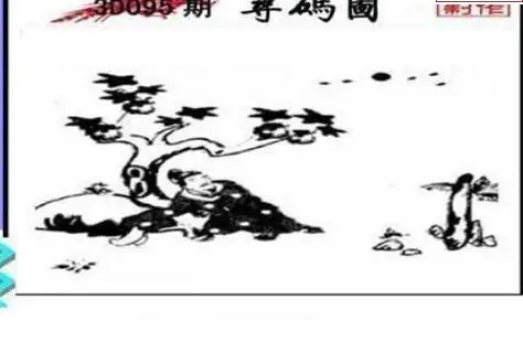 25095期: 三毛3D精品图谜